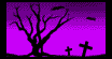darkin's Portfolio!
