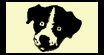 doggy's Portfolio!