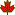 *Leaf1*